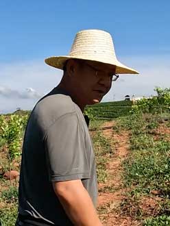 农业人叶涛，50多岁通讯人跨界搞农业，他要用1000万打造一个梦。